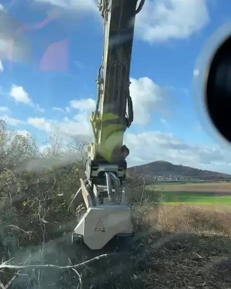 FAE-Mulchkopf am Hohmann-Bagger mulcht eine verbuschte Fläche
